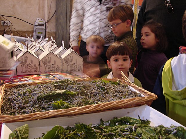 Recuperando tradiciones - 2, Foto 2