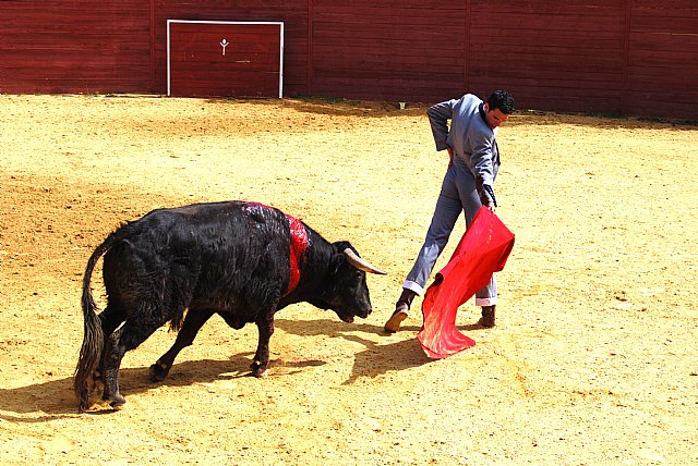 El ceheginero Antonio Puerta indulta un “yerbabuena” en la ganadería de Ortega Cano - 1, Foto 1