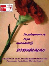 Juventudes Socialistas Murcia-Centro teñirá de rojo las calles en estas Fiestas de Primavera 2010 con su tradicional campaña ‘Claveles Reivindicativos’
