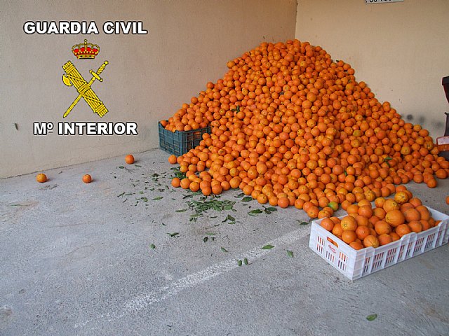 La Guardia Civil sorprende a cuatro persona in fraganti cargados con gran cantidad de fruta - 1, Foto 1