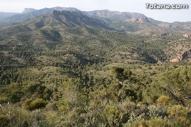 La concejalía de Medio Ambiente organiza una repoblación forestal con más de 500 plantas autóctonas en una hectárea en el paraje del monte de La Santa, Foto 1
