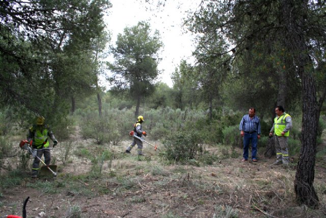 El Coto de las Maravillas luce más limpio - 1, Foto 1