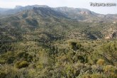 La concejalía de Medio Ambiente organiza una repoblación forestal con más de 500 plantas autóctonas en una hectárea en el paraje del monte de La Santa