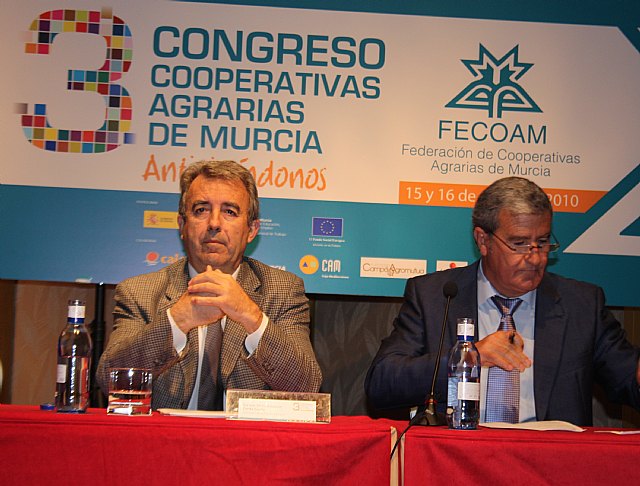 Cerdá  afirma que el sector agrario “está indefenso ante la falta de una preferencia en Europa por nuestros productos” - 1, Foto 1