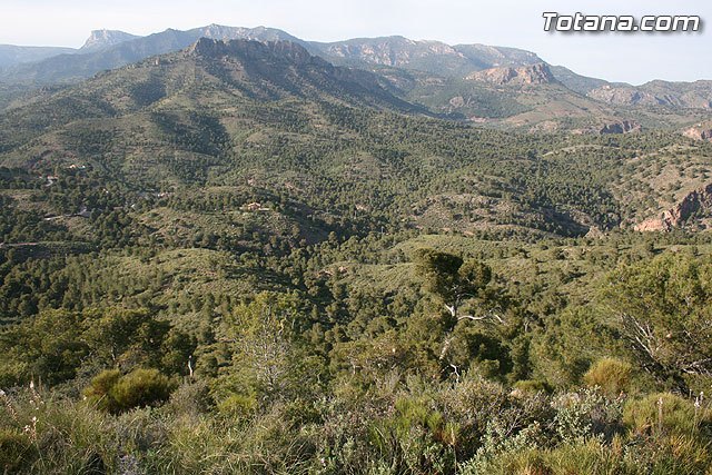 La jornada de repoblación forestal con más de 500 plantas autóctonas se celebrará este domingo 18 de abril en una hectárea del paraje del monte de La Santa, Foto 1