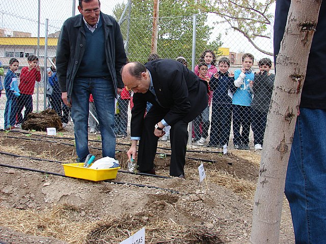 Los alumnos del Colegio San Fernando crean un huerto escolar en el patio de este centro educativo - 1, Foto 1