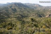 La jornada de repoblacin forestal con ms de 500 plantas autctonas se celebrar este domingo 18 de abril en una hectrea del paraje del monte de La Santa