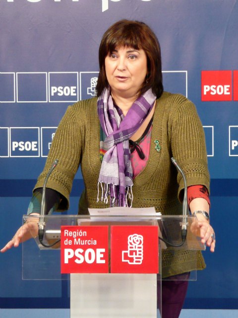 Lola Hernández afirmó que las familias de personas con discapacidad desconfían del Gobierno regional - 1, Foto 1