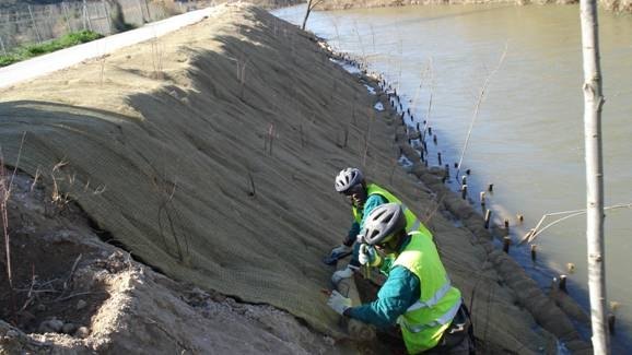 La CHS desarrolla con las universidades de Murcia y Alicante un proyecto pionero para la recuperación vegetal del río Segura - 2, Foto 2