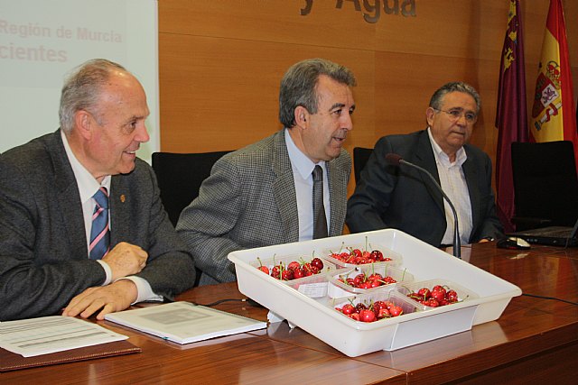 Agricultura investiga la obtención de nuevas variedades de cerezo autofértiles y con bajas necesidades de frío - 1, Foto 1