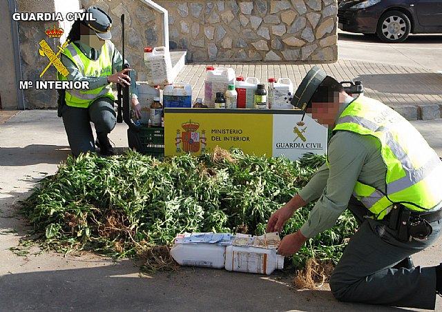 La Guardia Civil desmantela un punto de producción y distribución de marihuana en la comarca del Mar Menor - 1, Foto 1