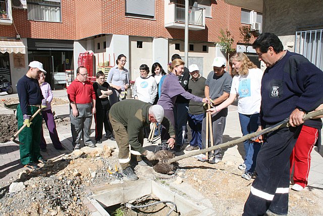 La concejalía de medio ambiente planta arbolado en la plaza hermanos pinzón con la colaboración de los alumnos de apcom - 1, Foto 1