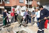 La concejalía de medio ambiente planta arbolado en la plaza hermanos pinzón con la colaboración de los alumnos de apcom