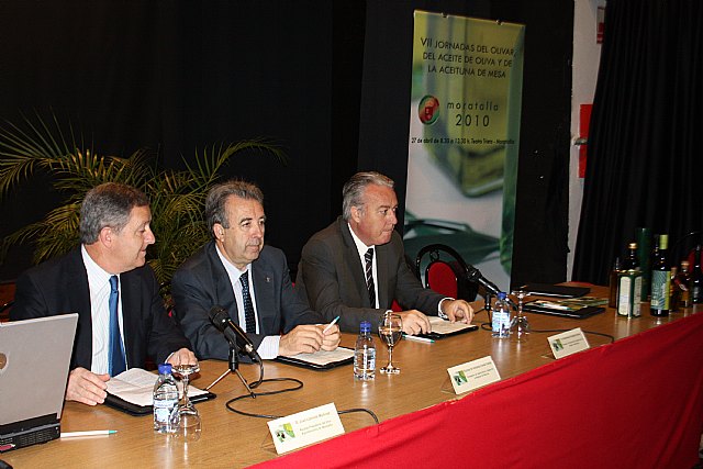 Cerdá  destaca el carácter social y tradicionalmente familiar del cultivo del olivo - 1, Foto 1