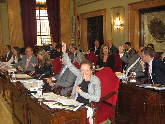 El Pleno exige al Gobierno de al Nación la dotación económica suficiente para desarrollar la Ley de Dependencia - 1, Foto 1