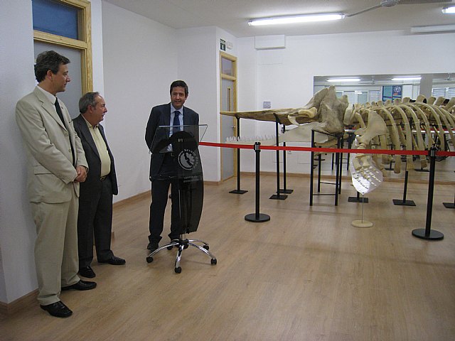 Inauguración exposición Cetáceos del Mediterráneo - 1, Foto 1