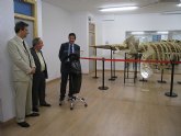 Inauguracin exposicin Cetceos del Mediterrneo