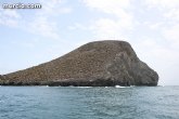 ANSE anilla ms de 1700 aves migradoras  en isla grosa