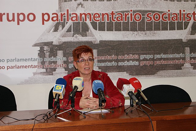 García Retegui denuncia que lo que hace el PP con la Asamblea Regional desvirtúa el objetivo primordial de un parlamento - 1, Foto 1