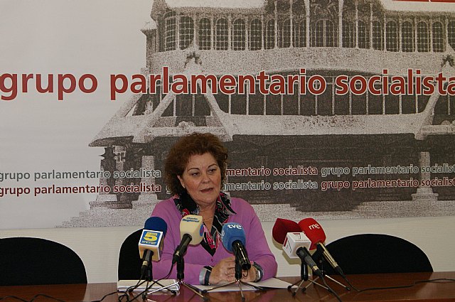 El PSOE pide en la Asamblea que el nuevo hospital de Cartagena tenga una UCI pediátrica para evitar desplazamientos de los menores a la Arrixaca - 1, Foto 1