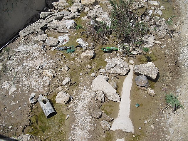 El PSOE pide la limpieza urgente de la zona de recreo del río y de los aledaños de la Fuente del Oro - 3, Foto 3