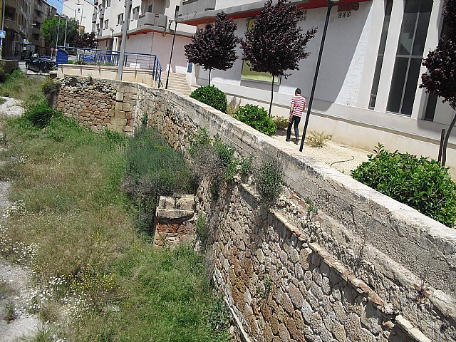 El PSOE pide la limpieza urgente de la zona de recreo del río y de los aledaños de la Fuente del Oro - 4, Foto 4
