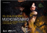 Ciclo de conferencias del Festival Mucho Más Mayo