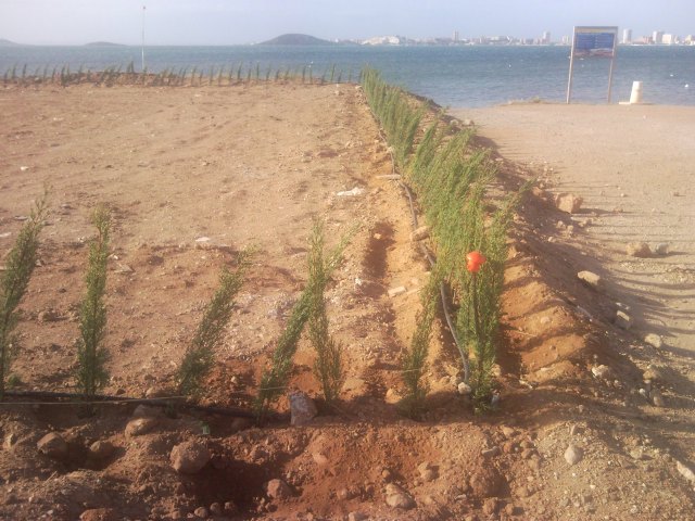 Los socialistas denuncian intentos de apropiación de suelo público correspondiente a la continuación del paseo marítimo de Playa Honda - 2, Foto 2