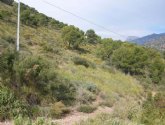 Un proyecto medioambiental prevendrá incendios forestales y aumentará  la diversidad de la flora y la fauna en el paraje del Santuario de La Santa