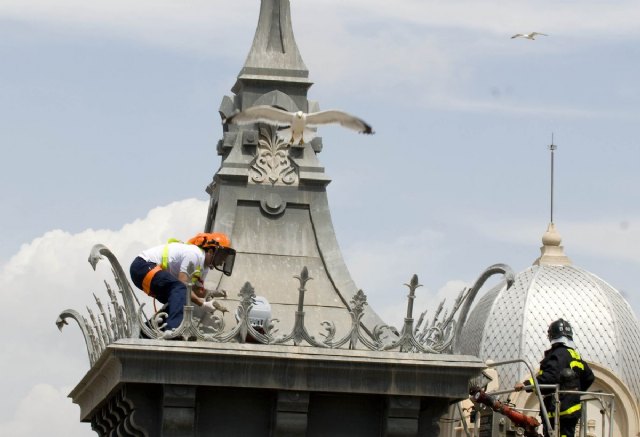 Los bomberos retiran tres nidos de gaviota del Palacio Consistorial - 3, Foto 3