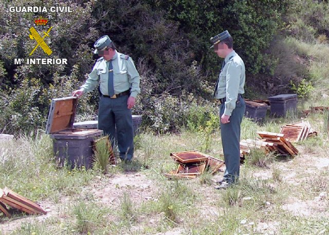 La Guardia Civil detiene a una persona por la sustracción de colmenas en la comarca del Noroeste - 1, Foto 1