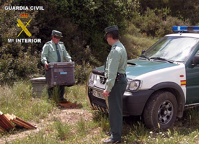 La Guardia Civil detiene a una persona por la sustracción de colmenas en la comarca del Noroeste - 2, Foto 2