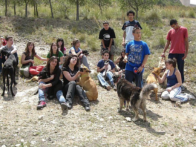 Un grupo de jóvenes del Programa 9.e visitan el Albergue Municipal de Animales Abandonados de Jumilla - 2, Foto 2