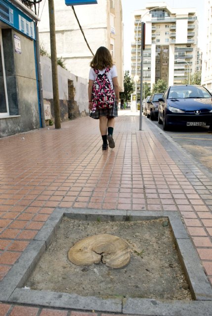 Jardines corta 13 árboles en Carlos III que provocaban averías - 2, Foto 2