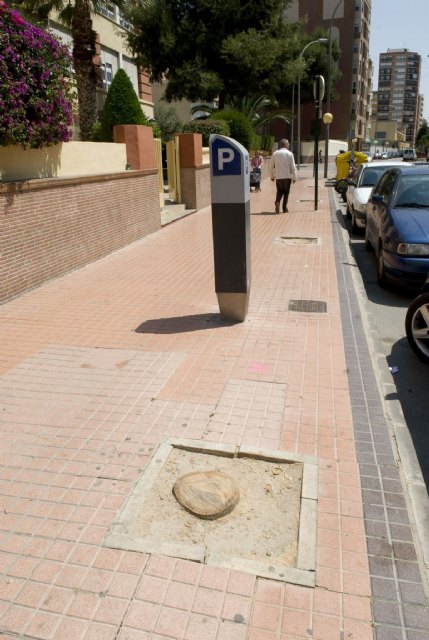 Jardines corta 13 árboles en Carlos III que provocaban averías - 3, Foto 3