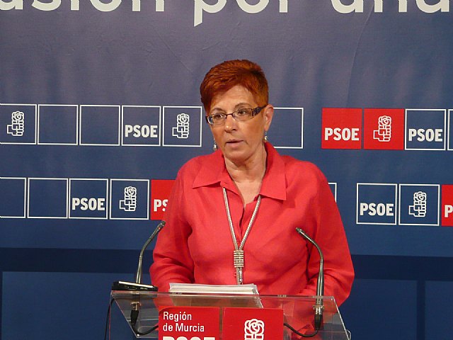 Retegui da recomendaciones a la consejera de Hacienda de “por dónde puede empezar a recortar gasto superfluo” - 1, Foto 1