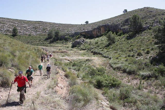 La cuarta ruta del programa Lorca a pie 2010 se desplazó hasta la pedanía de Zuñiga - 1, Foto 1