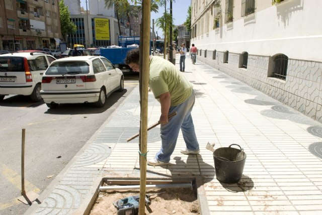 Jardines instala 50 cubrealcorques en la calle Ángel Bruna - 1, Foto 1