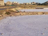 Los socialistas alertan de que 'la propiedad mantiene seco el humedal de las Salinas de Marchamalo'