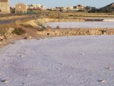 Los socialistas alertan de que 'la propiedad mantiene seco el humedal de las Salinas de Marchamalo'
