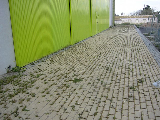 El PSOE denuncia el estado de abandono de las instalaciones deportivas de Purias, La Campana y el paraje de Los Jopos - 3, Foto 3