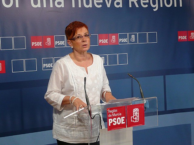 El PSOE critica que Valcárcel esté permanentemente de vacaciones pese a la grave situación económico-financiera - 1, Foto 1