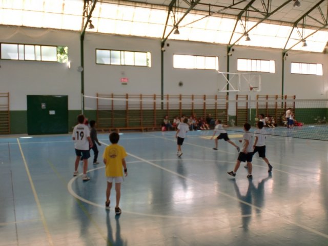 La concejalía de Deportes organiza una jornada de voleibol alevín - 3, Foto 3