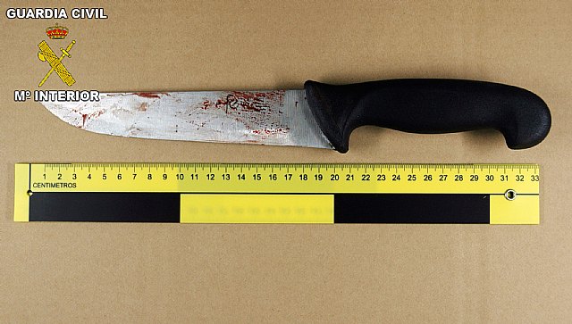 La Guardia Civil detiene al presunto homicida de Dolores de Pacheco - 2, Foto 2