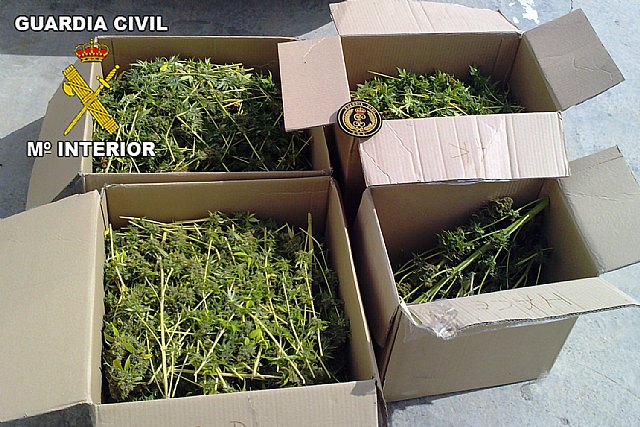 La Guardia Civil sorprende a una persona trasladando 13 kilos de marihuana - 1, Foto 1