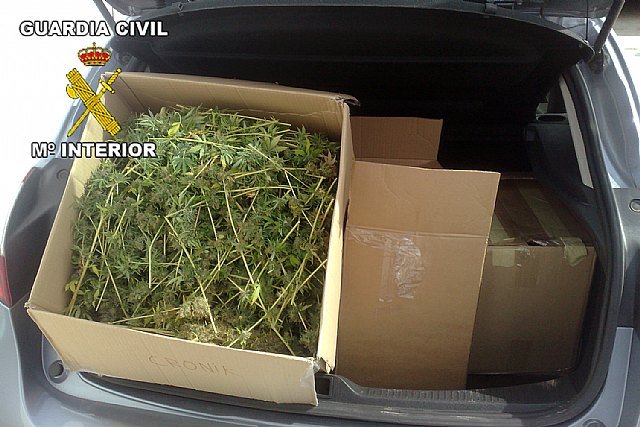 La Guardia Civil sorprende a una persona trasladando 13 kilos de marihuana - 2, Foto 2