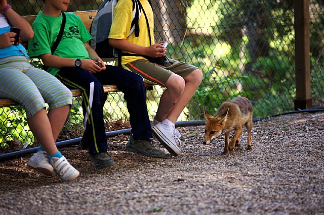 La Semana de la Diversidad Biológica congrega a 1.780 participantes de todas las edades en las Aulas y Talleres de Naturaleza - 2, Foto 2