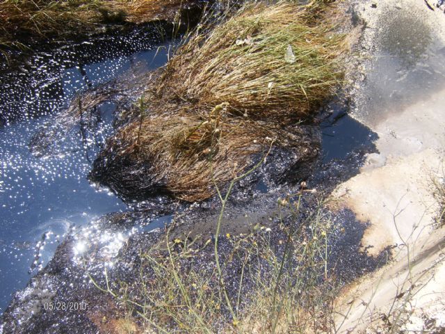 Alertan a la Guardia Civil de un vertido contaminante al cauce de la rambla Alta - 16