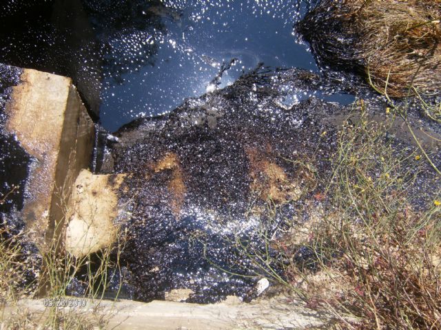 Alertan a la Guardia Civil de un vertido contaminante al cauce de la rambla Alta - 17