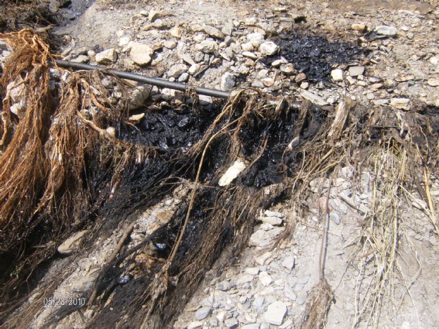 Alertan a la Guardia Civil de un vertido contaminante al cauce de la rambla Alta - 22